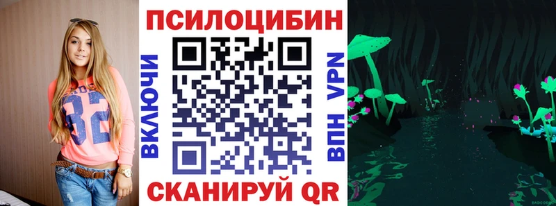 Купить где  Шуя  Галлюциногенные грибы GOLDEN TEACHER 
