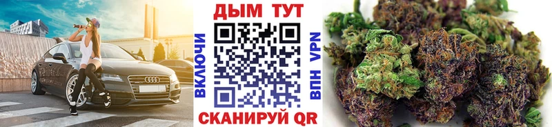 Каннабис планчик  Купить закладки  Шуя 